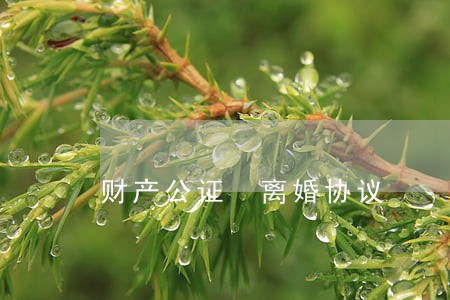 财产公证 离婚协议 财产公证 离婚协议